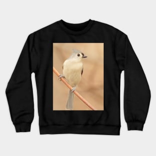 Tufted Titmouse with soft out of focus background Crewneck Sweatshirt